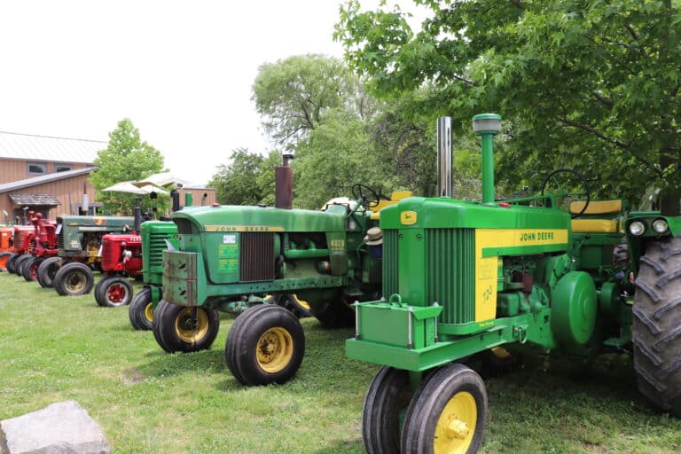 Vintage John Deere tractors lined up on the grass at Sauder Village, with red farm tractors visible in the background