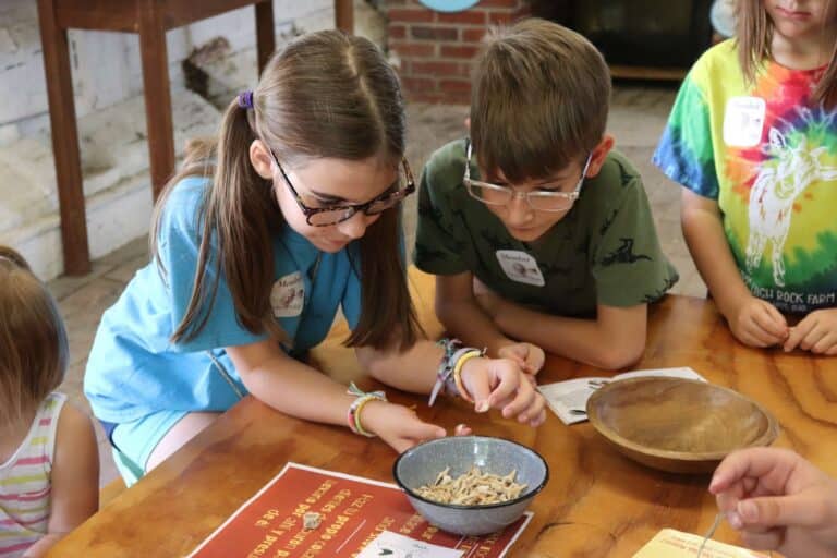 Two children examine small artifacts in a bowl during a hands-on field trip activity indoors