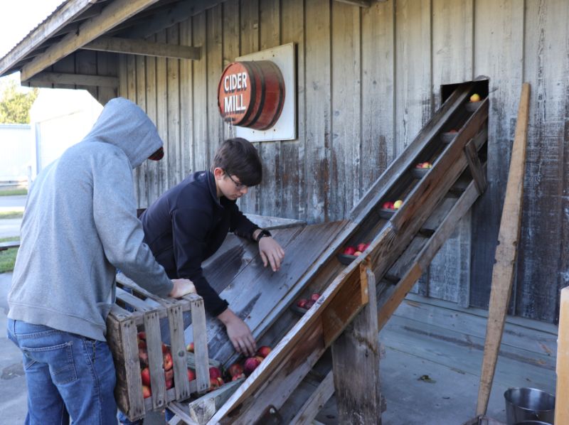 Visitors loading apples into a wooden cider press chute